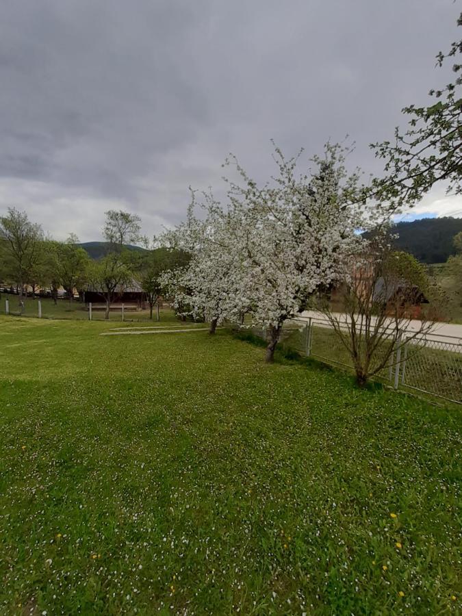 Apartman Djokovic Mokra Gora Exterior photo