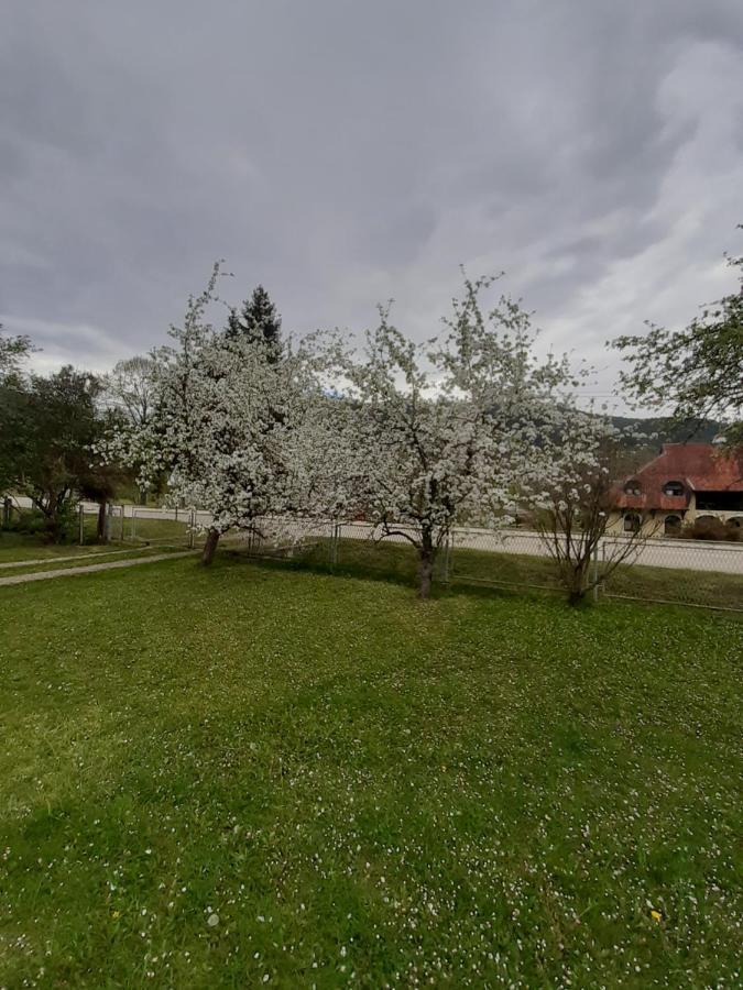 Apartman Djokovic Mokra Gora Exterior photo